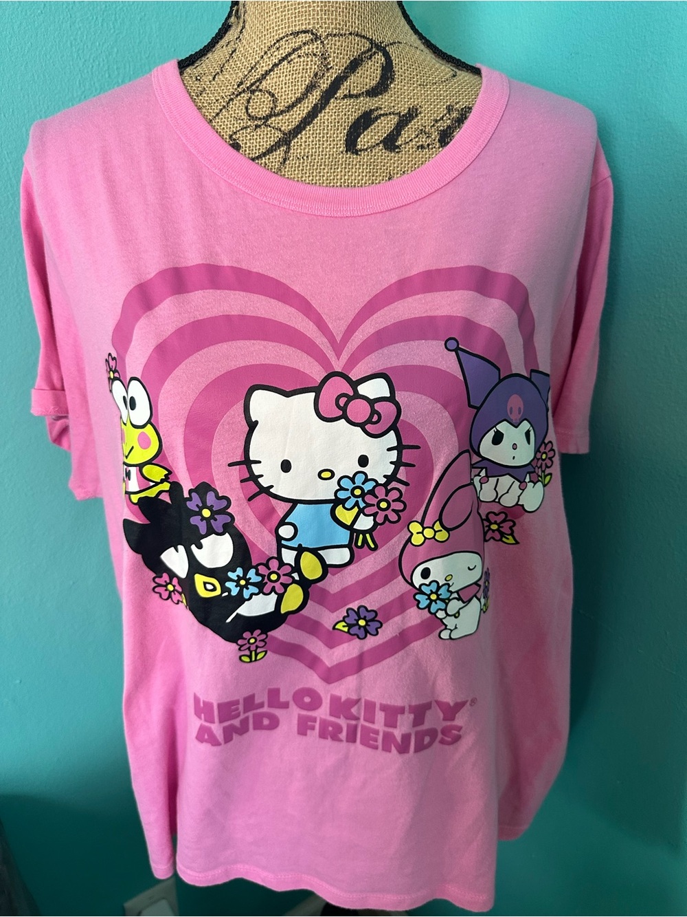 #158 Hello Kitty and Friends by Sanrio Character Tshirt XXL